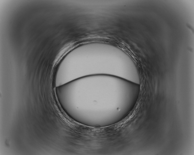 X0000097500101200802220851