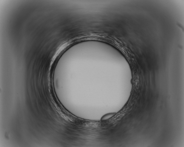 X0000097500102200802220851
