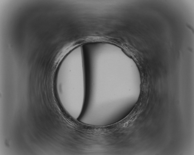 X0000097500103200802220851
