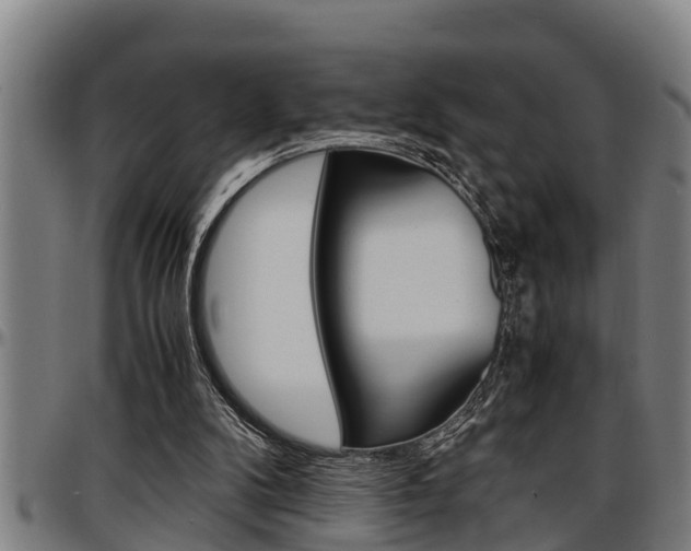 X0000097500104200802220851