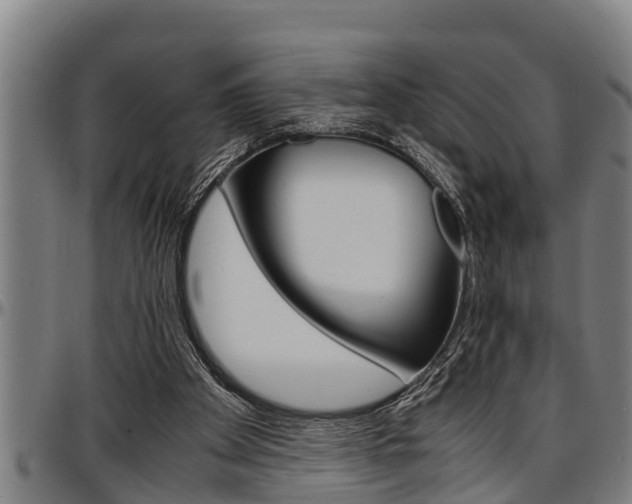 X0000097500105200802220851