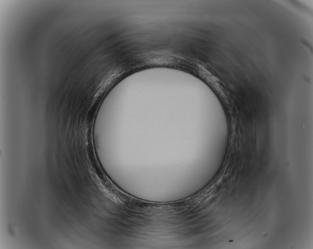X0000097500106200802220851