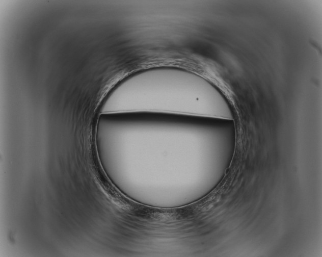 X0000097500107200802220851