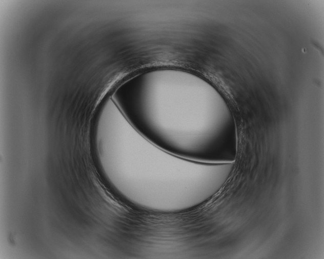 X0000097500108200802220851