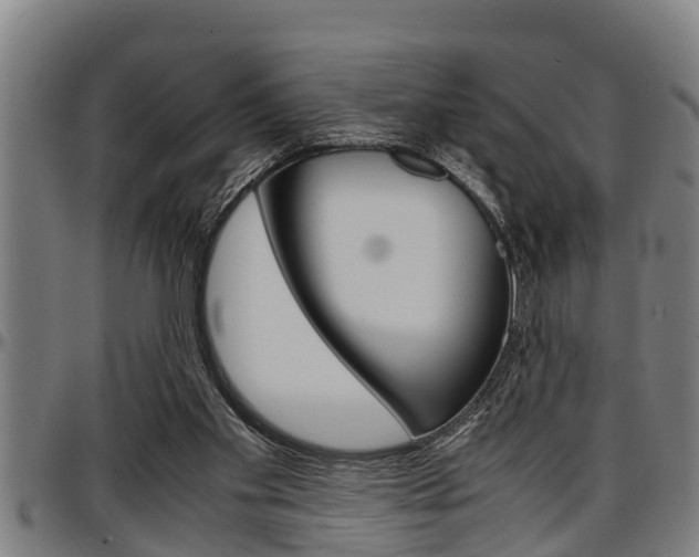 X0000097500109200802220851