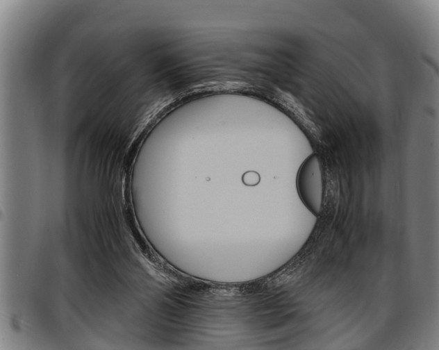 X0000097500110200802220851
