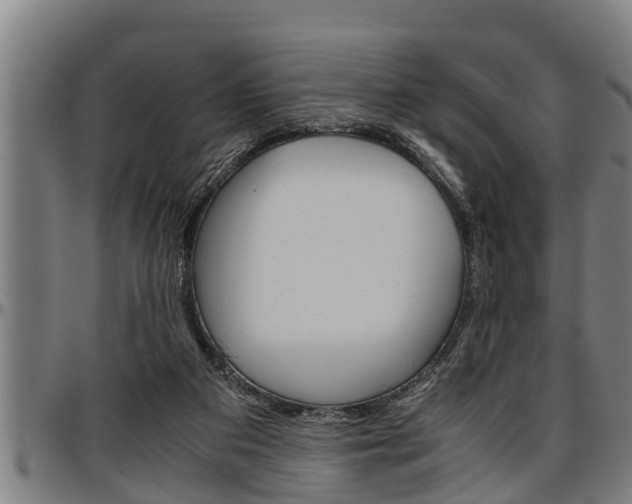 X0000097500113200802220851