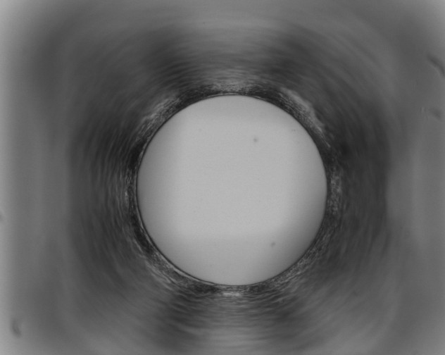 X0000097500114200802220851