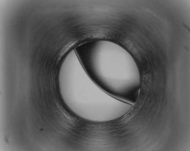 X0000097500116200802220851