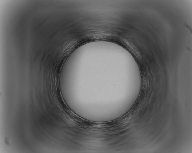 X0000097500117200802220851
