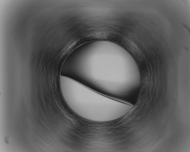 X0000097500120200802220850