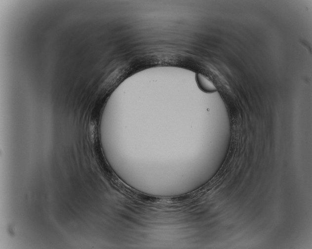 X0000097500123200802220850