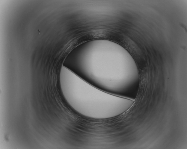 X0000097500124200802220850