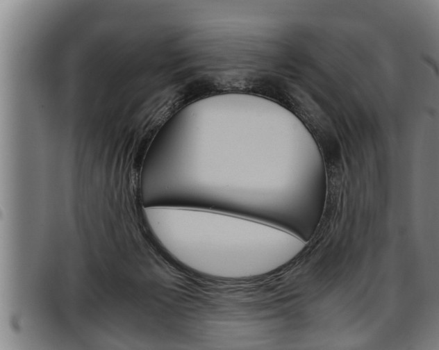 X0000097500125200802220850