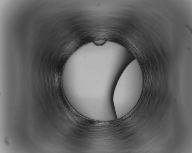X0000097500126200802220850