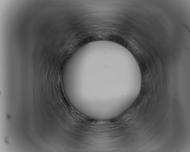 X0000097500129200802220850