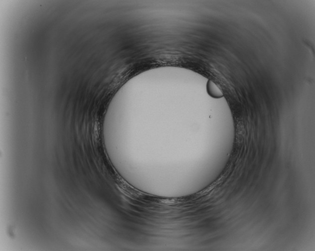 X0000097500130200802220850