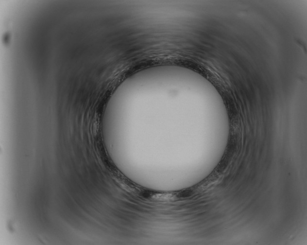 X0000097500133200802220850