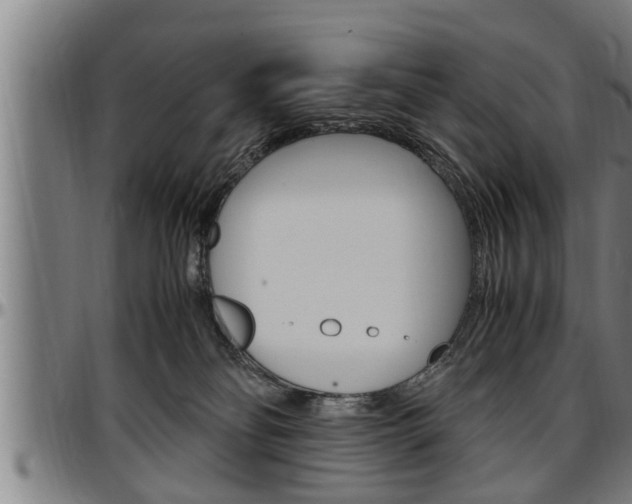 X0000097500134200802220850