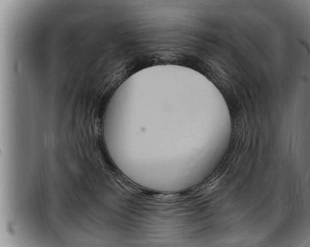 X0000097500135200802220850