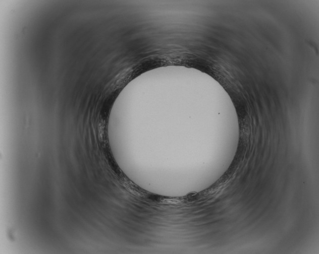 X0000097500139200802220850