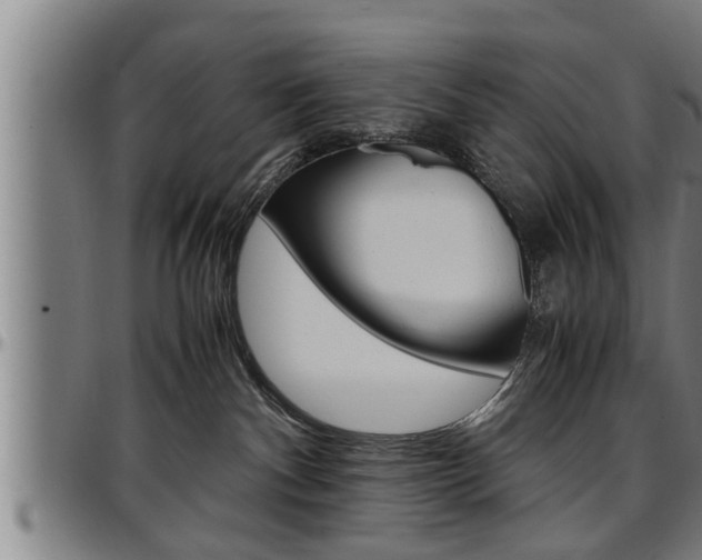 X0000097500140200802220850