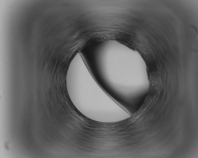 X0000097500141200802220850
