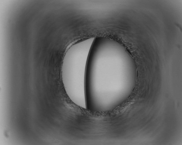 X0000097500144200802220850
