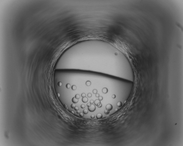 X0000097500145200802220850