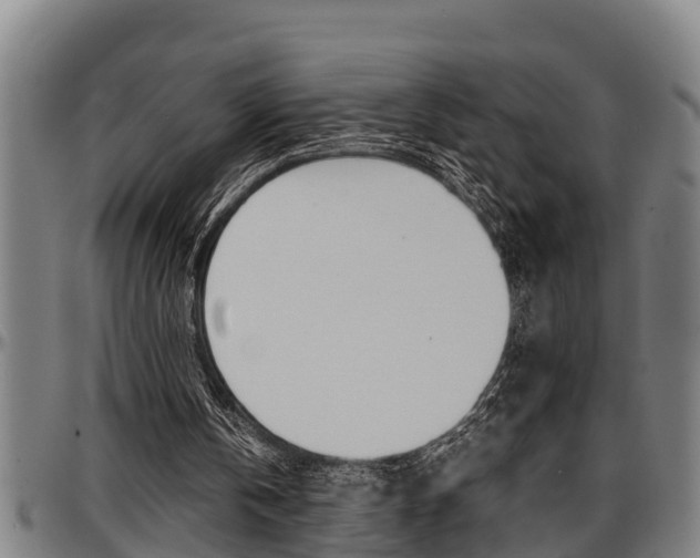 X0000097500146200802220850