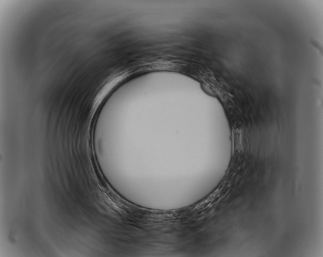 X0000097500147200802220850