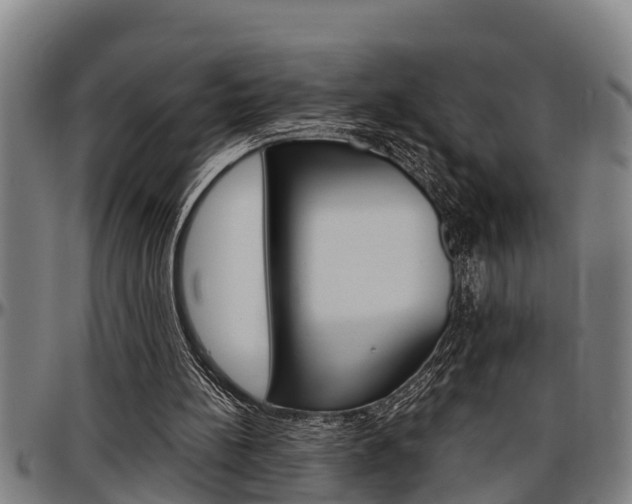 X0000097500148200802220850