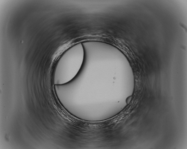 X0000097500149200802220850