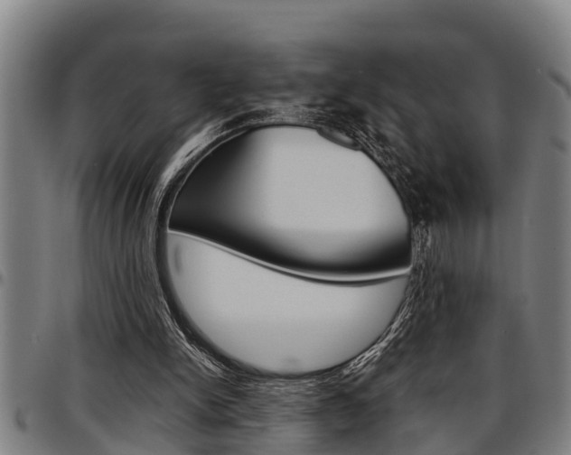 X0000097500150200802220850