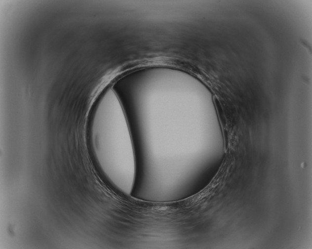 X0000097500152200802220850