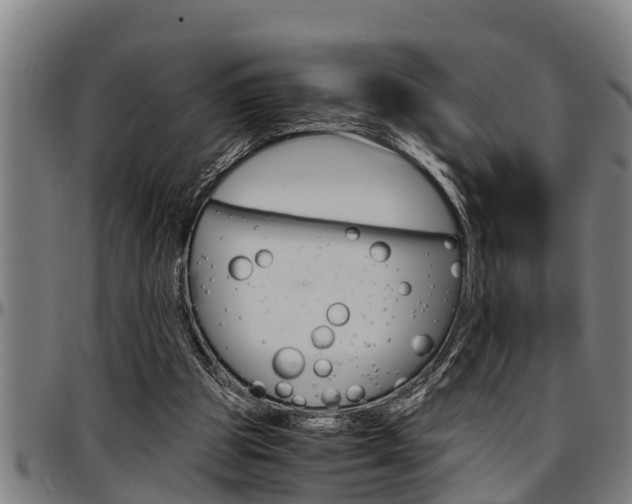 X0000097500153200802220850