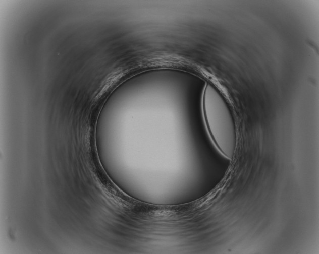 X0000097500154200802220850