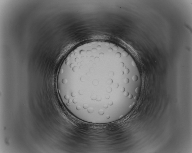 X0000097500155200802220850