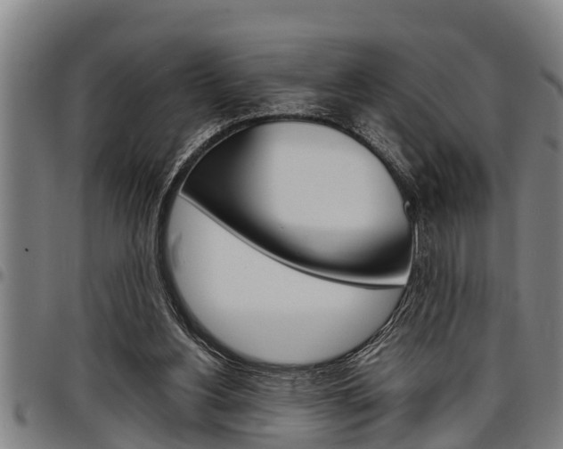X0000097500156200802220850