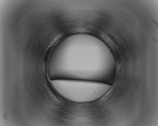 X0000097500158200802220850