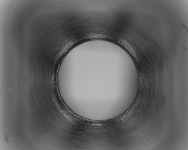 X0000097500159200802220850