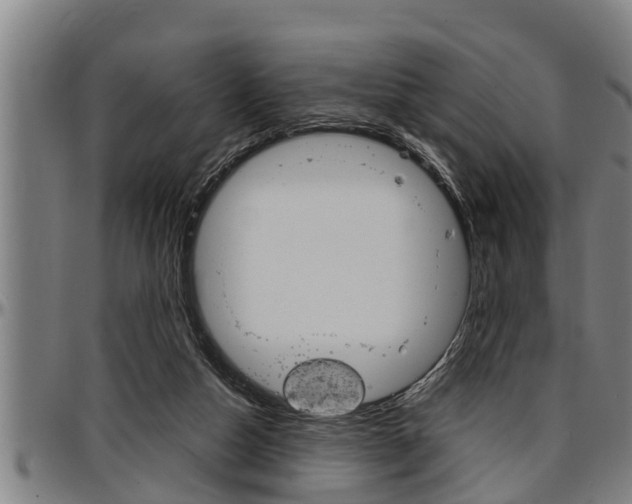 X0000097500162200802220850