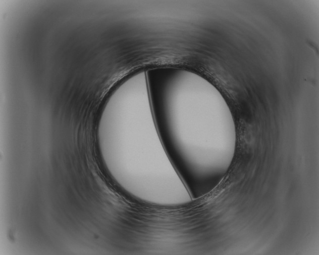 X0000097500164200802220850