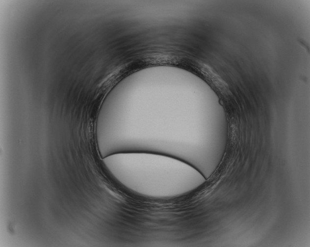 X0000097500165200802220850