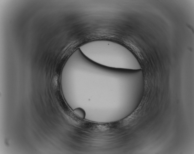 X0000097500166200802220850