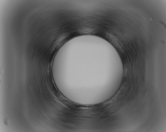 X0000097500167200802220850