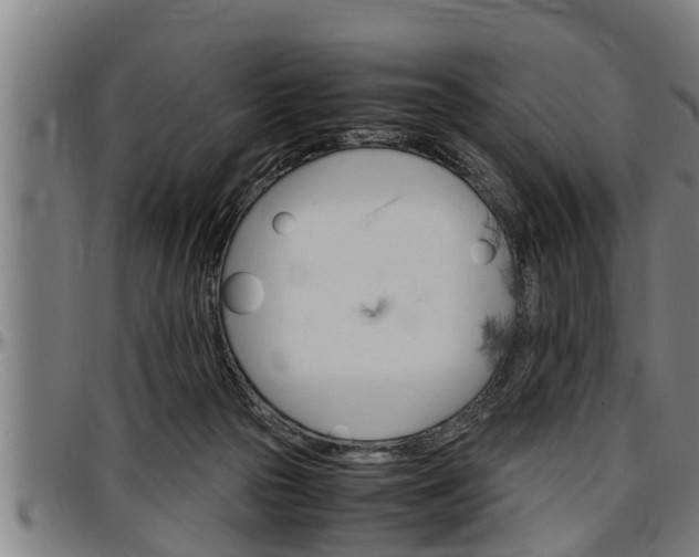 X0000097500169200802220850
