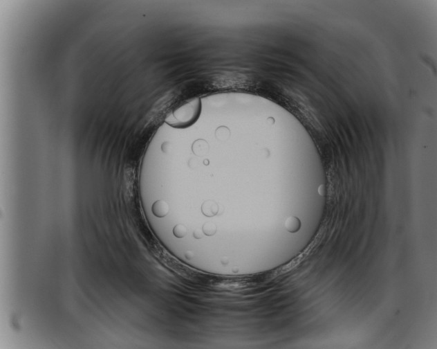 X0000097500171200802220850