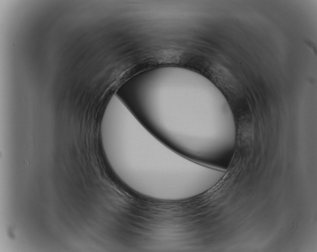 X0000097500172200802220850