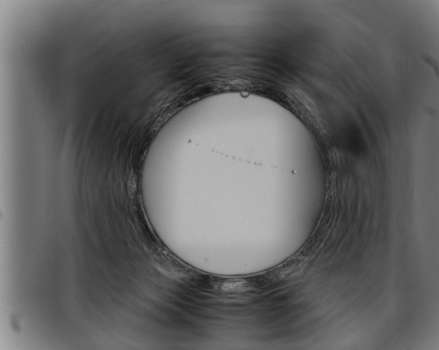 X0000097500173200802220850
